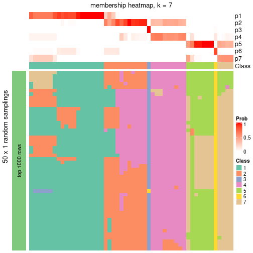 plot of chunk tab-node-05-membership-heatmap-6