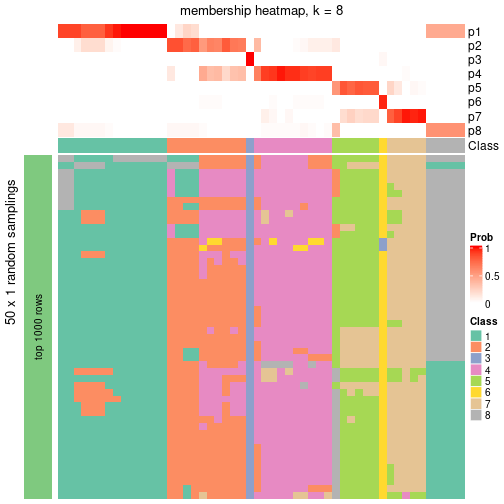 plot of chunk tab-node-05-membership-heatmap-7