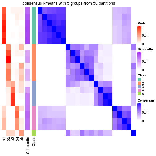 plot of chunk tab-node-051-consensus-heatmap-4