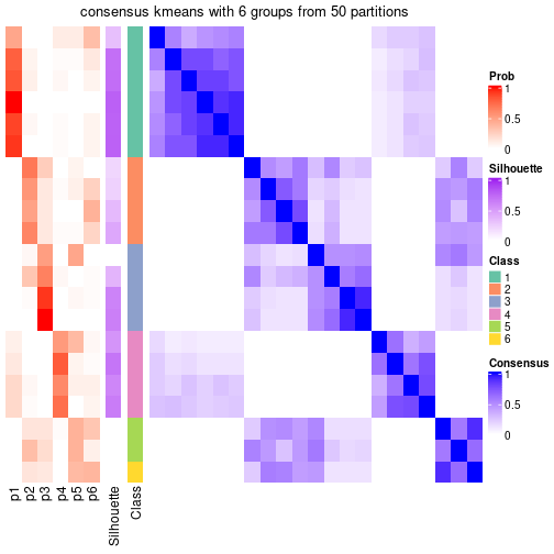 plot of chunk tab-node-051-consensus-heatmap-5