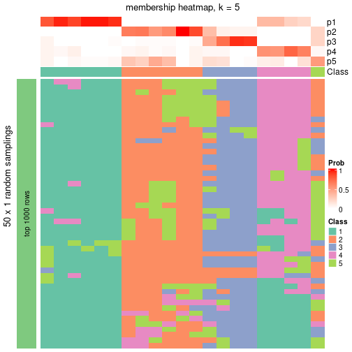 plot of chunk tab-node-051-membership-heatmap-4