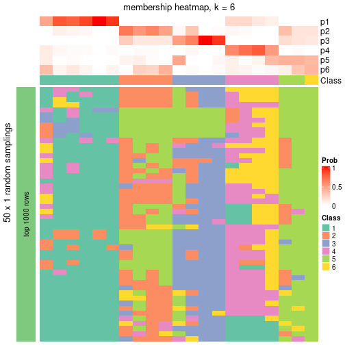 plot of chunk tab-node-051-membership-heatmap-5