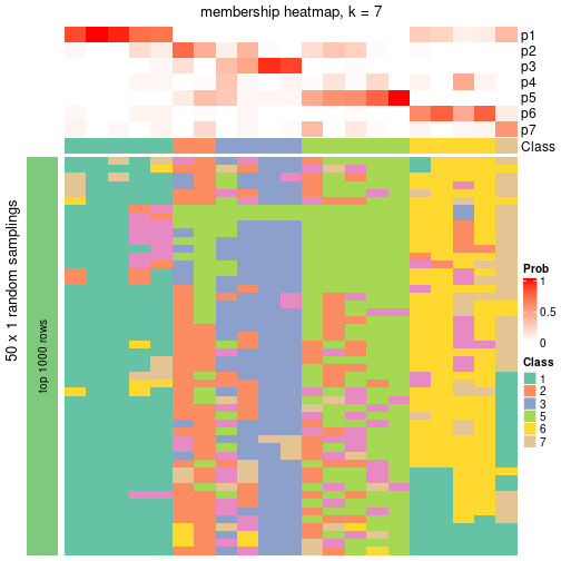 plot of chunk tab-node-051-membership-heatmap-6