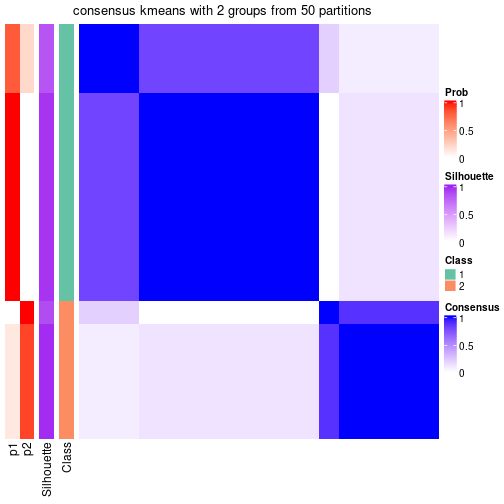 plot of chunk tab-node-054-consensus-heatmap-1