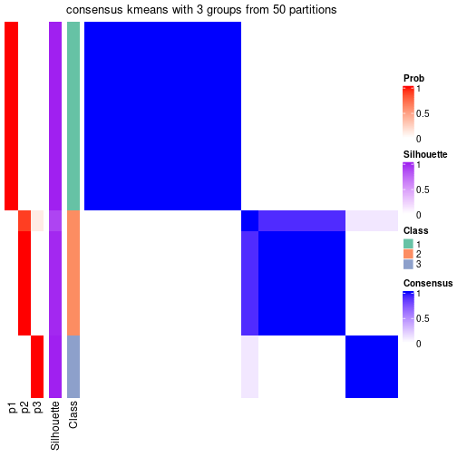 plot of chunk tab-node-054-consensus-heatmap-2