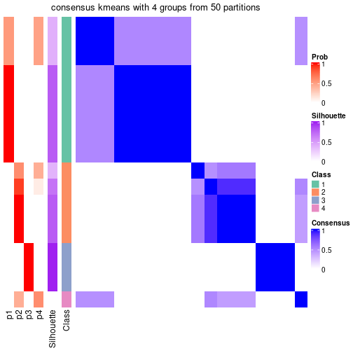 plot of chunk tab-node-054-consensus-heatmap-3