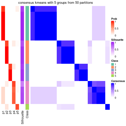 plot of chunk tab-node-054-consensus-heatmap-4