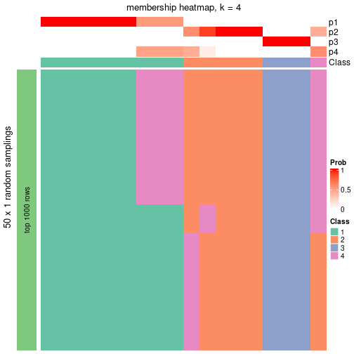 plot of chunk tab-node-054-membership-heatmap-3