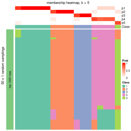 plot of chunk tab-node-054-membership-heatmap-4