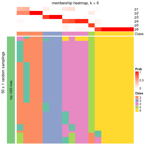 plot of chunk tab-node-054-membership-heatmap-5