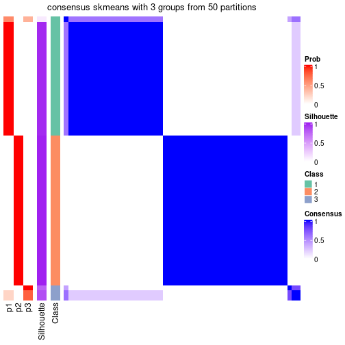 plot of chunk tab-node-06-consensus-heatmap-2