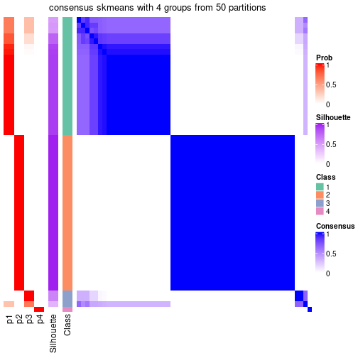 plot of chunk tab-node-06-consensus-heatmap-3