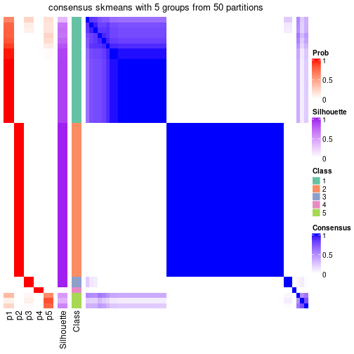 plot of chunk tab-node-06-consensus-heatmap-4