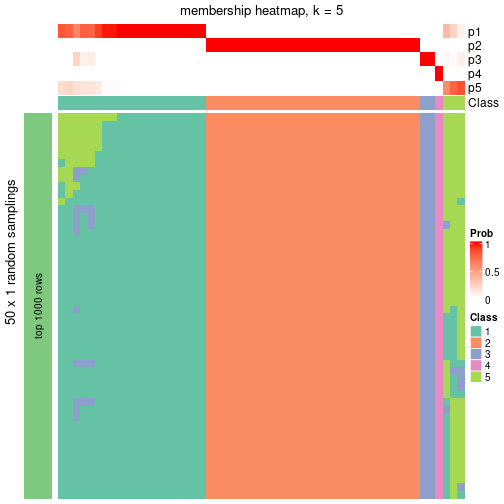 plot of chunk tab-node-06-membership-heatmap-4