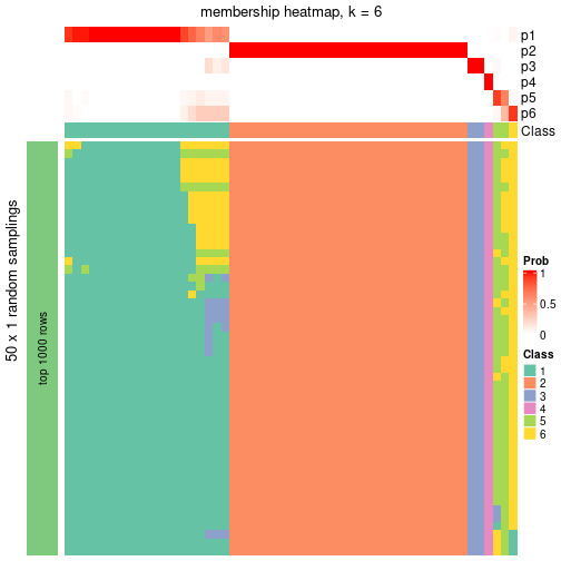 plot of chunk tab-node-06-membership-heatmap-5