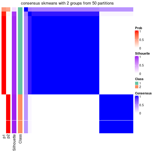 plot of chunk tab-node-062-consensus-heatmap-1