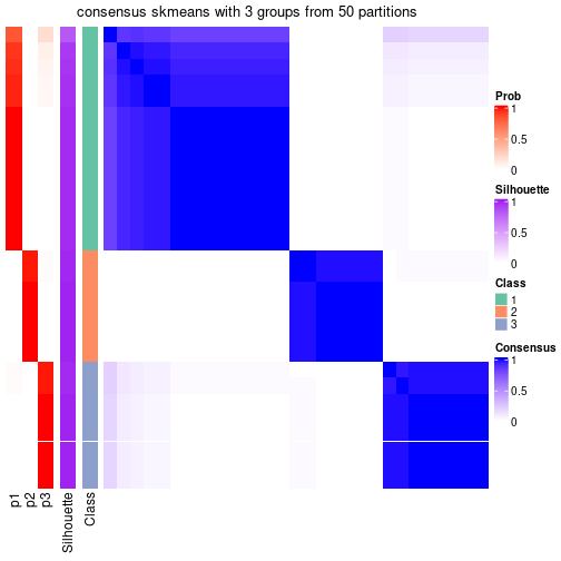 plot of chunk tab-node-062-consensus-heatmap-2