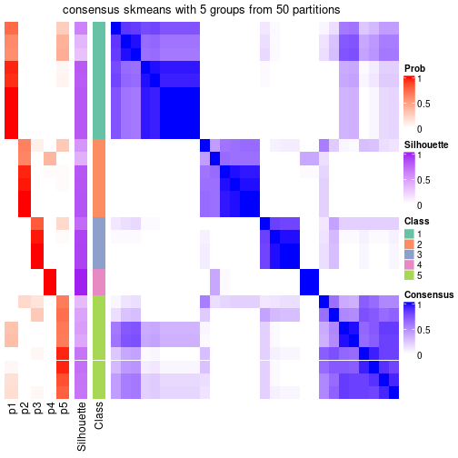 plot of chunk tab-node-062-consensus-heatmap-4