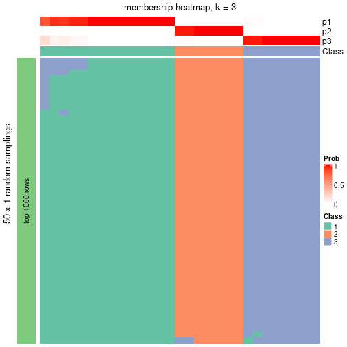 plot of chunk tab-node-062-membership-heatmap-2