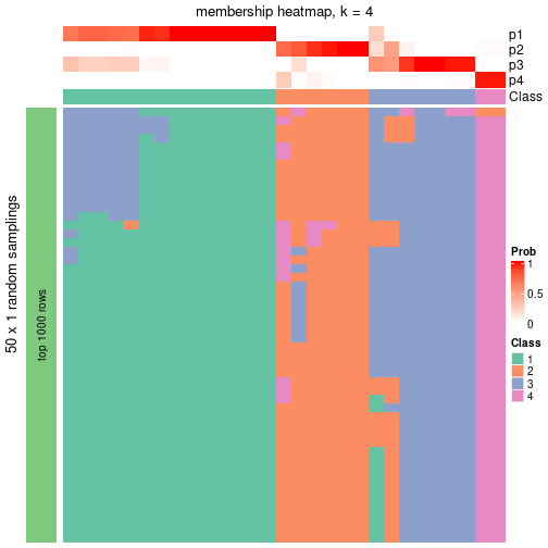 plot of chunk tab-node-062-membership-heatmap-3