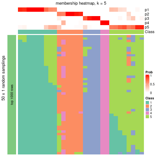 plot of chunk tab-node-062-membership-heatmap-4