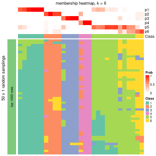 plot of chunk tab-node-062-membership-heatmap-5