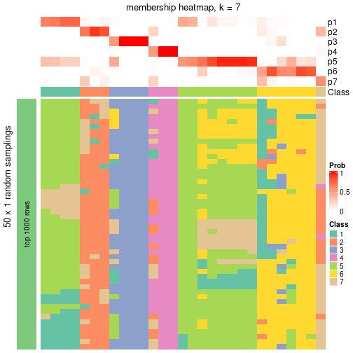 plot of chunk tab-node-062-membership-heatmap-6