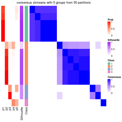 plot of chunk tab-node-07-consensus-heatmap-4