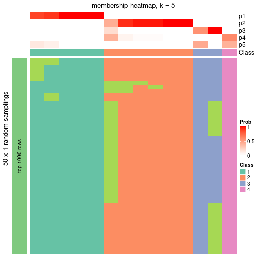 plot of chunk tab-node-07-membership-heatmap-4