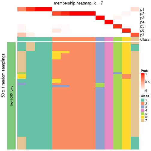 plot of chunk tab-node-07-membership-heatmap-6