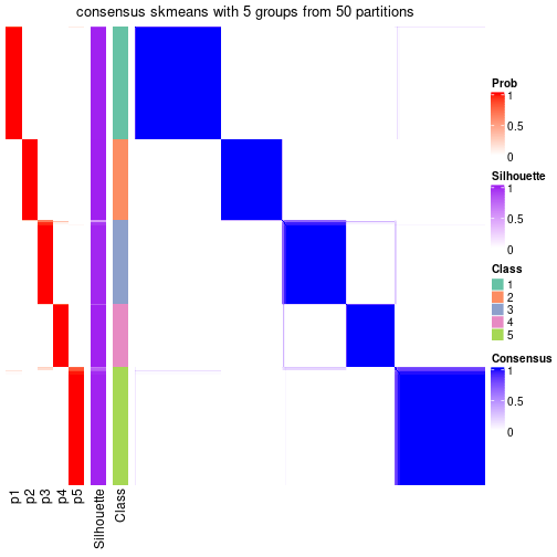 plot of chunk tab-node-0-consensus-heatmap-4