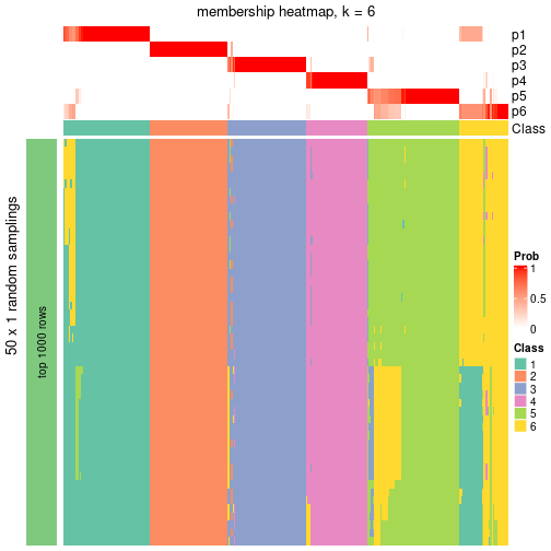 plot of chunk tab-node-0-membership-heatmap-5