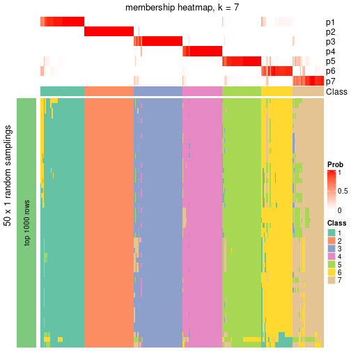 plot of chunk tab-node-0-membership-heatmap-6