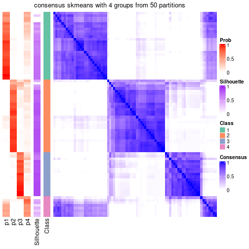 plot of chunk tab-node-01-consensus-heatmap-3