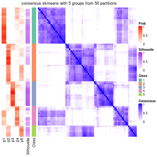 plot of chunk tab-node-01-consensus-heatmap-4