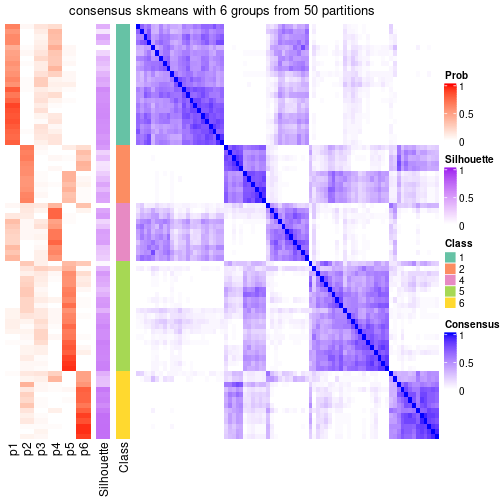 plot of chunk tab-node-01-consensus-heatmap-5