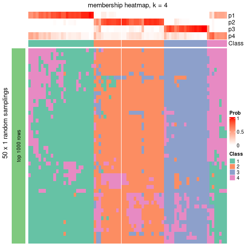 plot of chunk tab-node-01-membership-heatmap-3