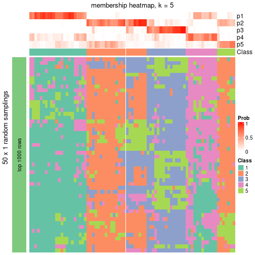 plot of chunk tab-node-01-membership-heatmap-4