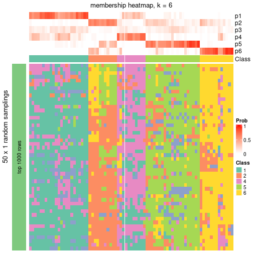 plot of chunk tab-node-01-membership-heatmap-5