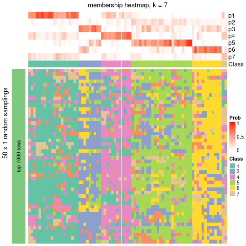 plot of chunk tab-node-01-membership-heatmap-6