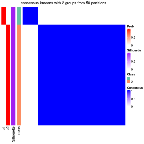 plot of chunk tab-node-012-consensus-heatmap-1