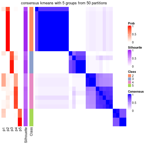 plot of chunk tab-node-012-consensus-heatmap-4