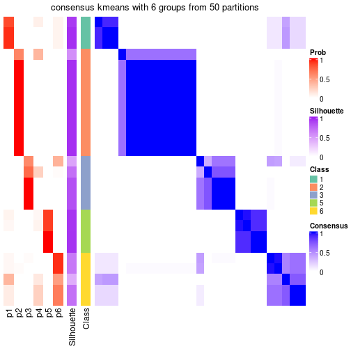 plot of chunk tab-node-012-consensus-heatmap-5