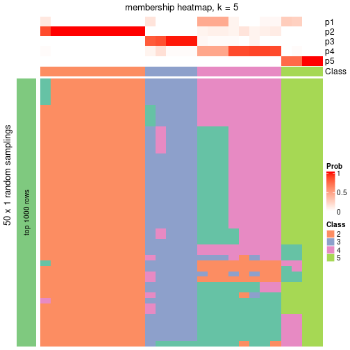 plot of chunk tab-node-012-membership-heatmap-4