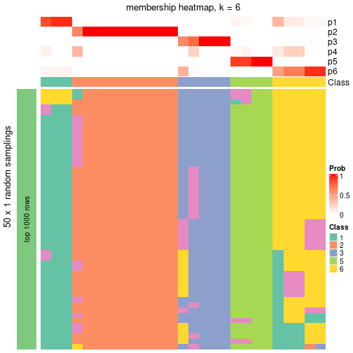 plot of chunk tab-node-012-membership-heatmap-5