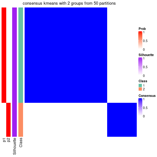 plot of chunk tab-node-013-consensus-heatmap-1