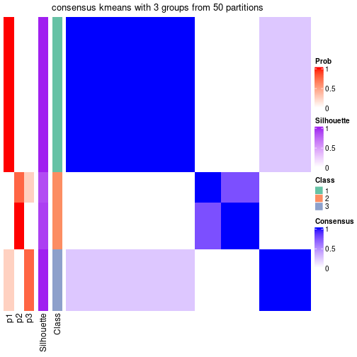 plot of chunk tab-node-013-consensus-heatmap-2