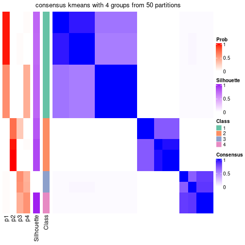 plot of chunk tab-node-013-consensus-heatmap-3