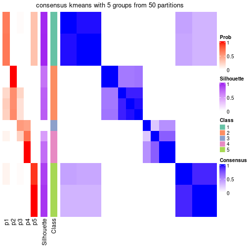 plot of chunk tab-node-013-consensus-heatmap-4