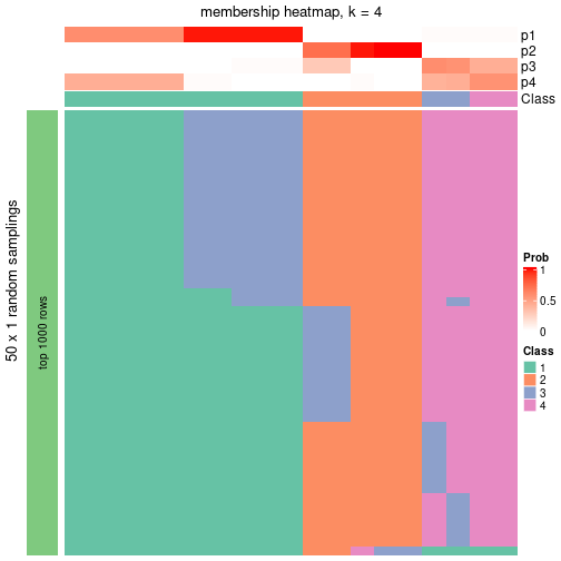 plot of chunk tab-node-013-membership-heatmap-3